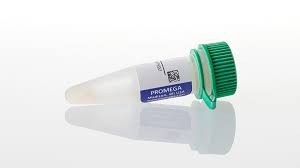 Whole mouse igg secondary antibodies are isolated from antisera by immunoaffinity chromatography. Anti Human Igg H L Hrp Conjugate