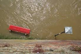 We did not find results for: 10 Arti Mimpi Tentang Banjir Beda Situasi Beda Arti