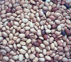 Image result for Macrotyloma africanum