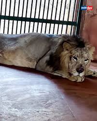 The Sanjay Gandhi National Park (SGNP ...