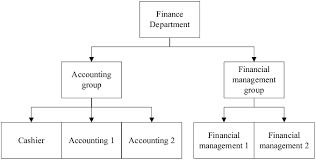 financial department organizational structure download