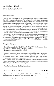 Image result for Burttia