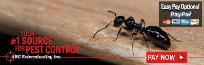 Our decades of experience and commitment to quality customer service mean we'll give you the solutions you've. Pest Control In Northern Wisconsin Abc Exterminating Inc