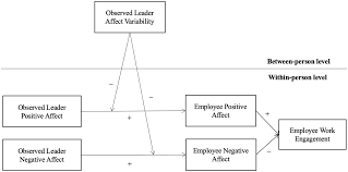 Image result for Observed Affect