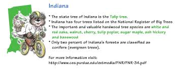 Test your christmas trivia knowledge in the areas of songs, movies and more. Tree And Forrest Facts About Indiana Illinois And Missouri