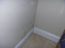 Check spelling or type a new query. Mold In The Closet Esg Iaq