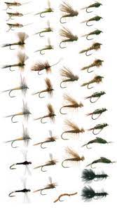 Trout flies direct was created by a group of truly dedicated fly anglers to provide trout flies of the highest quality to the public, whilst offering extremely competitive pricing. Western Trout Fly Fishing Flies Collection 39 Flies And Fly Box Buy Online In Azerbaijan At Desertcart 5506757