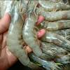 Wisata kuliner seafood di bali sekarang tersedia di berbagai tempat. 1