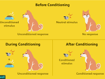 Image result for which of the following develops gradually during the course of conditioning?