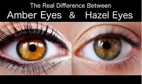 The Real Difference Between Amber Eyes And Hazel Eyes Hazel Eyes Amber Eyes Amber Eyes Color