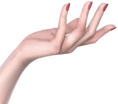 Woman Hand Png Clip Art Image Hand Reference Hand Clipart Hand Pose