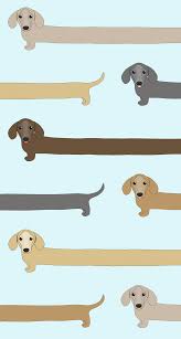 Freebie Dachshunds And Corgis Wallpaper Melissa Carter Design Fondos De Pantalla Animales Ilustraciones Dibujo De Perro Karen arnold has released this dachshund dog wallpaper background image under public domain license.