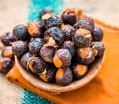 Image result for Sapindus