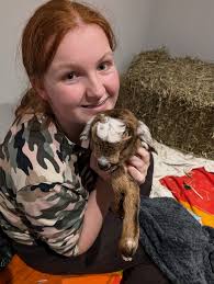 Volunteer Opportunity to Care for Goat Babies at a Farm