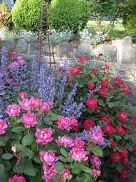 Things That You Need To Have To Know When It Comes To Organic Horticulture Knockout Roses Flower Garden Dream Garden