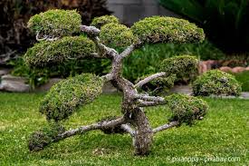 Das ziel der fernöstlichen gartenkunst ist es, mit kiesflächen, steinen und formgehölzen landschaften im miniaturformat nachzubilden. Die Gestaltungselemente Eines Japanischen Gartens Garten Hausxxl Garten Hausxxl