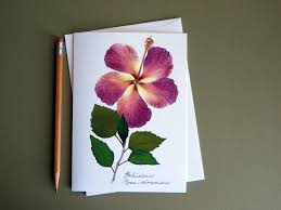 Check spelling or type a new query. Herbarium Anlegen Tipps Techniken Zum Trocknen Der Blumen