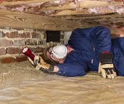 Our building inspectors are experienced & fully insured. Building Pest Inspection Melbourne Pre Sale Pre Purchase Buildings