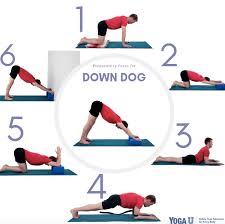 Check spelling or type a new query. A Beginner S Guide To Downward Facing Dog Adho Mukha Svanasana Yogauonline