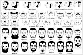 The web's largest and most authoritative phrases and idioms resource. Names Of Different Facial Hair Styles