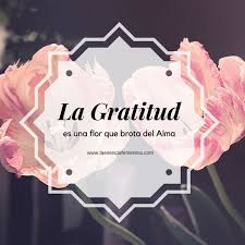 La Gratitud Da Paz Y Amor A Nuestras Vidas Nunca Te Olvides De Agradecer Quien Eres Lo Que Frases De Agradecimiento Frases De Gratitud Frases De Liderazgo