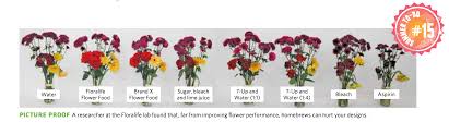 We did not find results for: Ask The Expert Do Plant Food Packets Really Work Belle Fiori