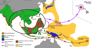 From the napa valley, we have grown to serve clients around the united states and abroad. Transpacific Coalescent Pathways Of Coconut Rhinoceros Beetle Biotypes Resistance To Biological Control Catalyses Resurgence Of An Old Pest Reil 2018 Molecular Ecology Wiley Online Library