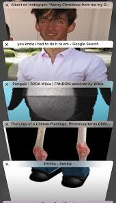 Manthatschill Replied To Albert Untill He Noticed And That Is So Chill Roblox Memes Funny Flamingo Funny Video Memes