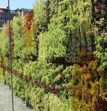 Free delivery on orders over $35. Outdoor Living Wall Planters