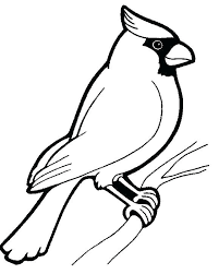 Its length can be up to 1.8 meters. Robin Bird Coloring Pages B111 Coloring Pages Highway