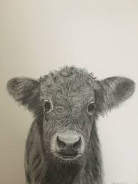 Cow Etsy In 2021 Fluffy Cows Cow Sketch Cow Drawing