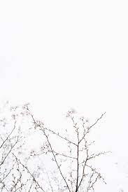 If you're in search of the best white wallpaper background, you've come to the right place. 900 White Background Images Download Hd Backgrounds On Unsplash