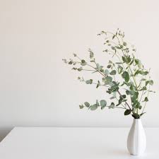 Just like any other home decorative accessories decorative sticks help in adding that stunning touch to your living room and other areas. 5 Eucalyptus Decorating Ideas For Your Healthy Home Organic Authority