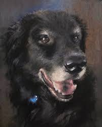 My sister's beloved dog and...