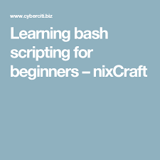 Learning Bash Scripting For Beginners Script Learning Unix Programming