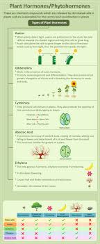 Cell division of plant hormone. Coordination In Plants Types Of Movements Plant Hormones Examples