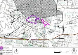 Image result for Adenostemma afrum