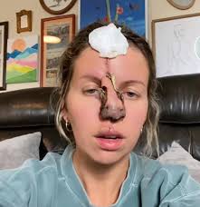 Cane Corso Puppy Training Club of America ®