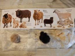 0128 hoe gezichten tekenen 0545. Schapen Scheren Met Scheerschuim En Tondeuse