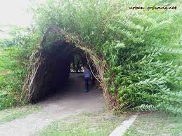 Weidentunnel Und Weidentipi Www Urban Growing Net Copyright Volker Truckenmuller Weidentipi Weiden Tipi