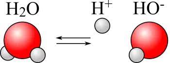 Ion is part of an elite family of hardware and software companies known as inmusic brands. Was Ist Ein Ion In Der Chemie Anionen Und Kationen