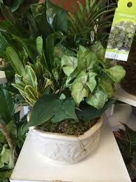 We did not find results for: Ron Eastburn S Flower Shop Inc 4561 Kirkwood High Way Wilmington De Florists Mapquest