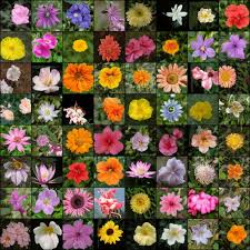 Check spelling or type a new query. Github Lucidrains Stylegan2 Pytorch Simplest Working Implementation Of Stylegan2 State Of The Art Generative Adversarial Network In Pytorch Enabling Everyone To Experience Disentanglement