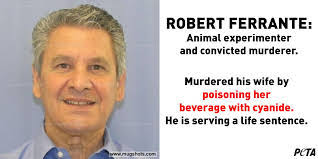 Robert Ferrante's Instagram, Twitter & Facebook