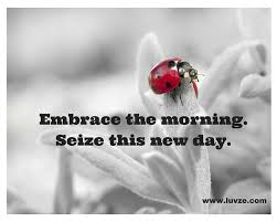 Chris rea — good morning 05:23. 115 Good Morning Quotes Sayings With Charming Images