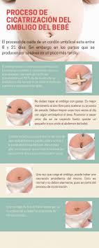 Ombligo Del Recien Nacido Como Curarlo Baby Plaza