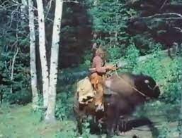 Guy On A Buffalo Series Know Your Meme