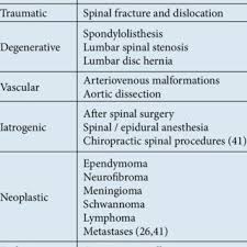 Pdf Degenerative Spine Diseases Causing Cauda Equina Syndrome