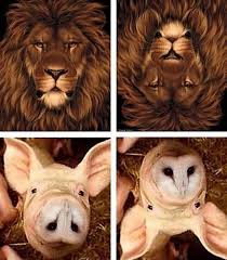 Your Eyes Constantly Deceive You Cool Illusions Illusions Cool Optical Illusions