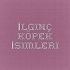 kediler ve kopekler panosundaki pin